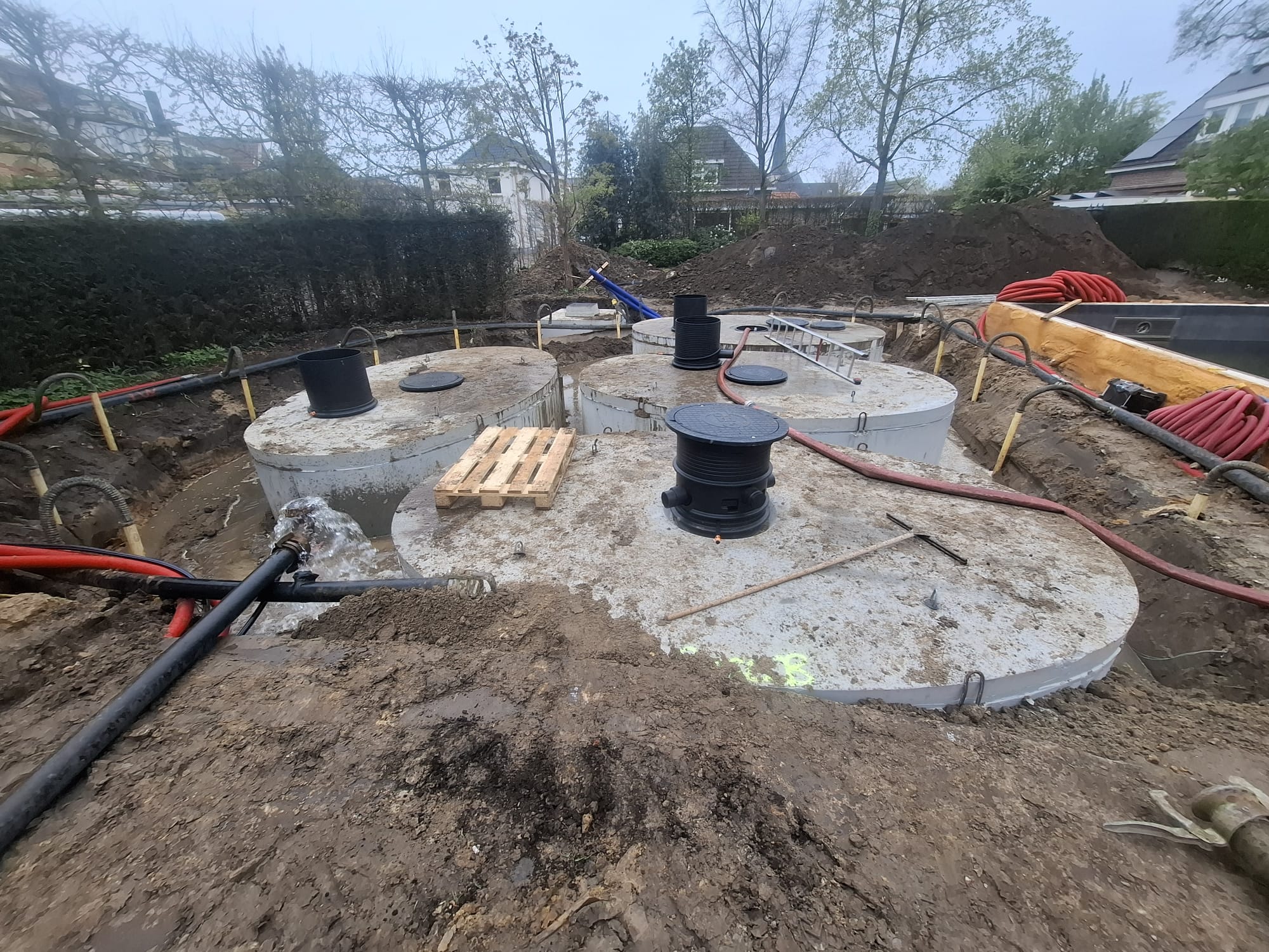 WhatsApp Image 2026-01-30 at 21.47.06