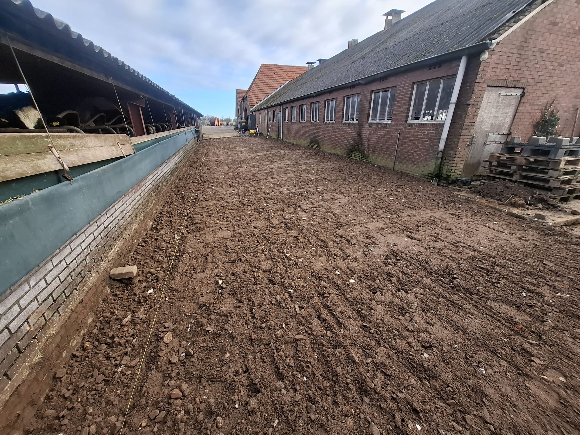 WhatsApp-Image-2026-01-30-at-21.47.13-1-1